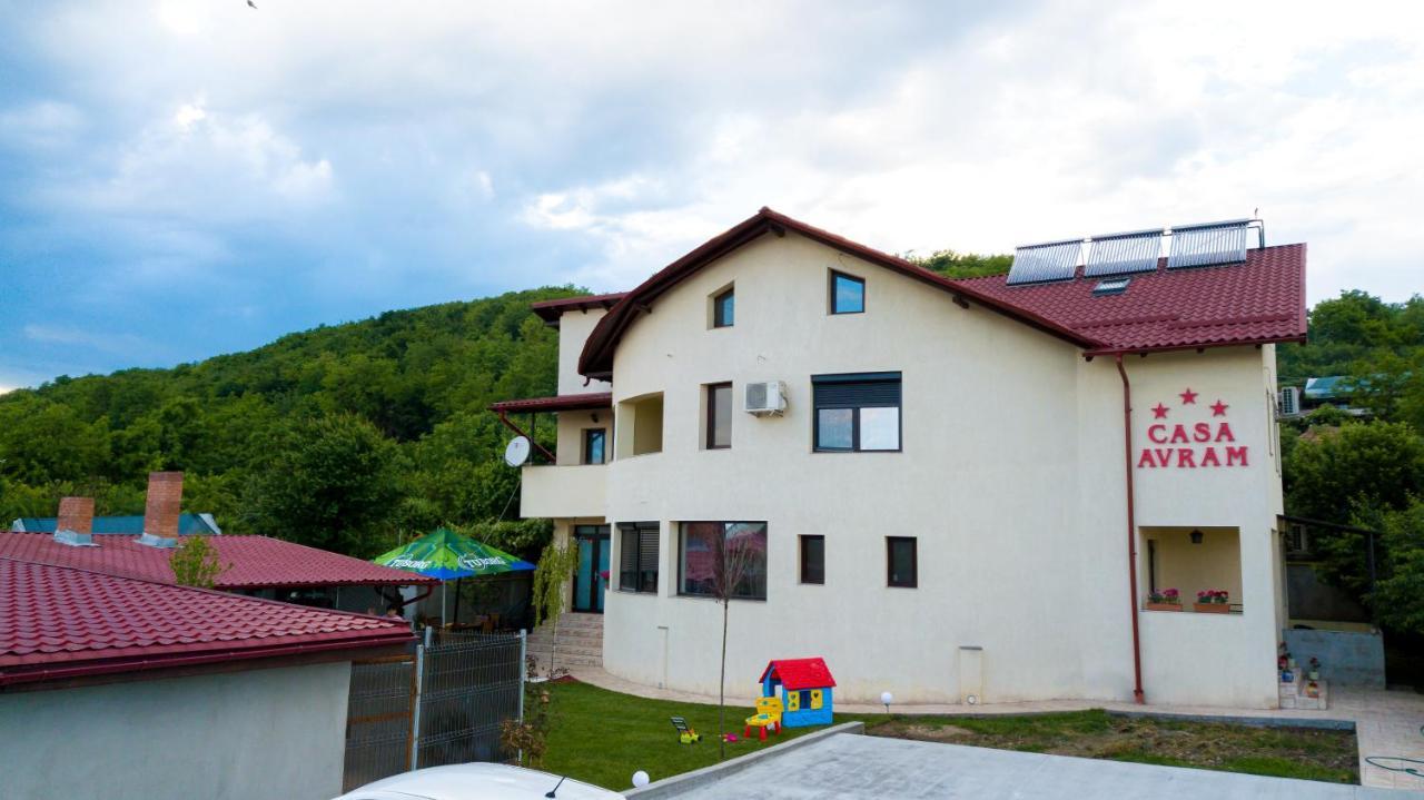 Casa Avram Villa Râmnicu Vâlcea Eksteriør billede
